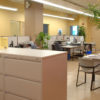 International Language Schools