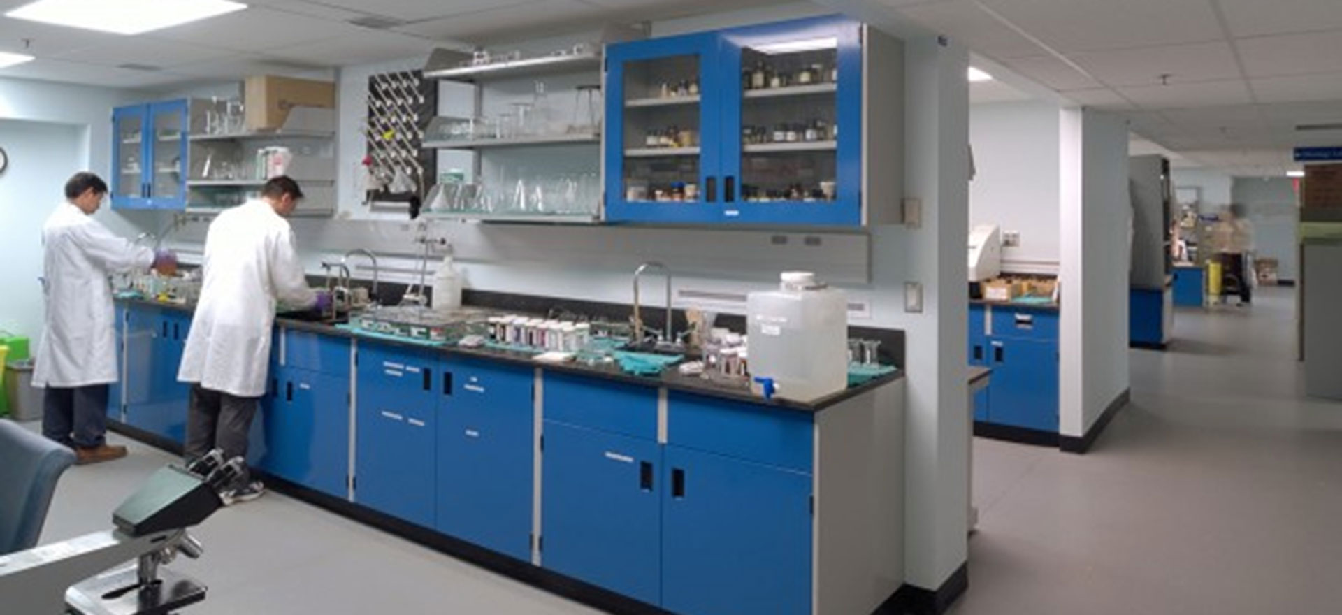University Health Network